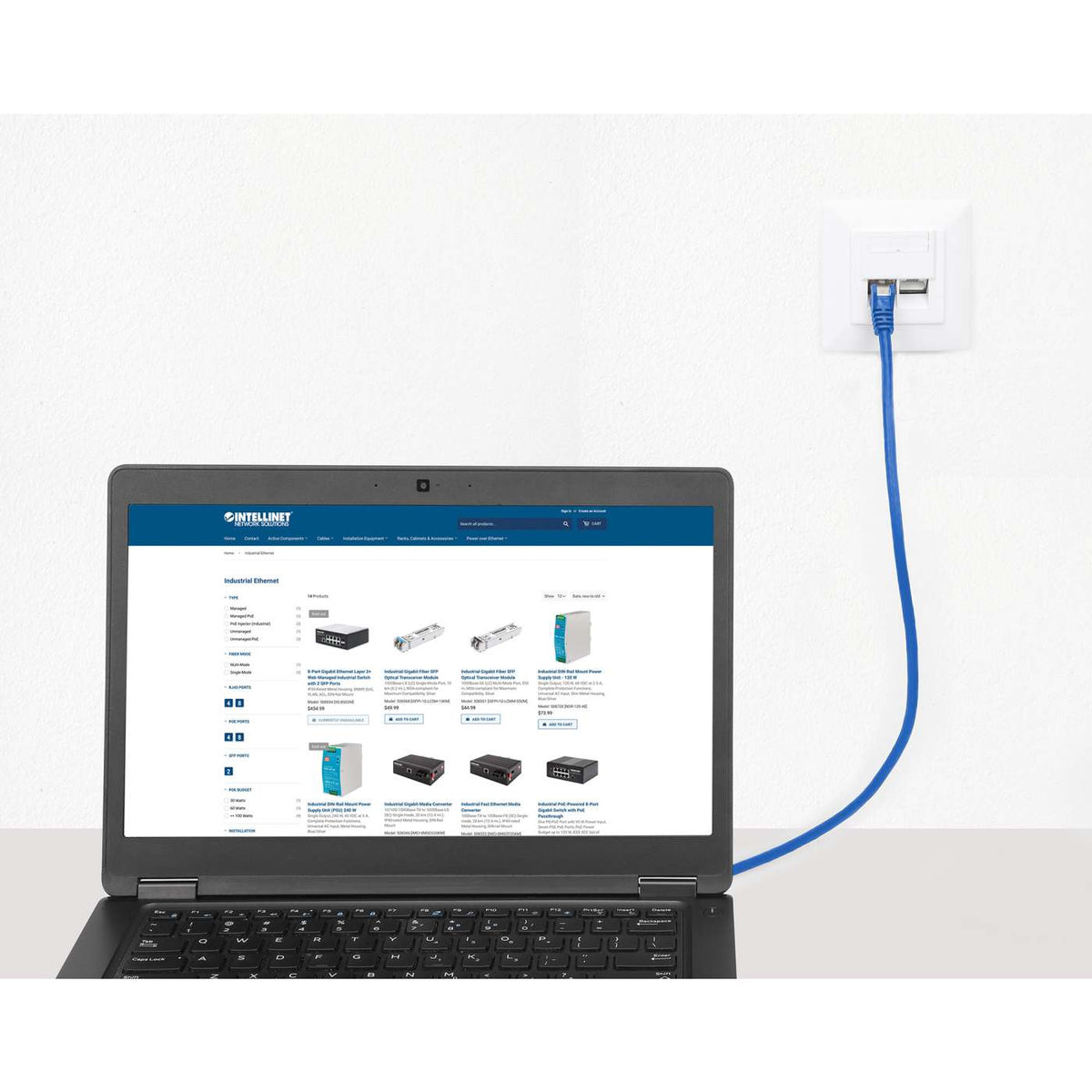 Cat8.1 S/FTP Network Patch Cable, 25 ft., Blue Image 6