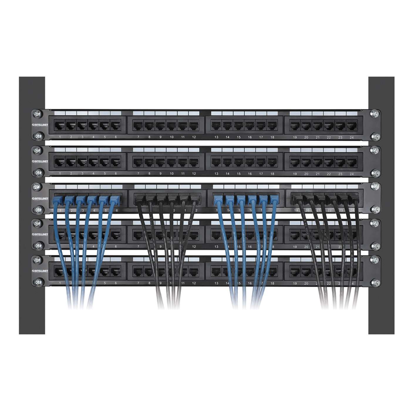 Cat8.1 U/FTP Slim Network Patch Cable, 14 ft., Blue, 10-Pack Image 6