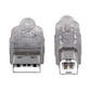 Hi-Speed USB B Device Cable Image 4